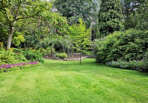 Optimiser l'expérience du jardin à Velaux